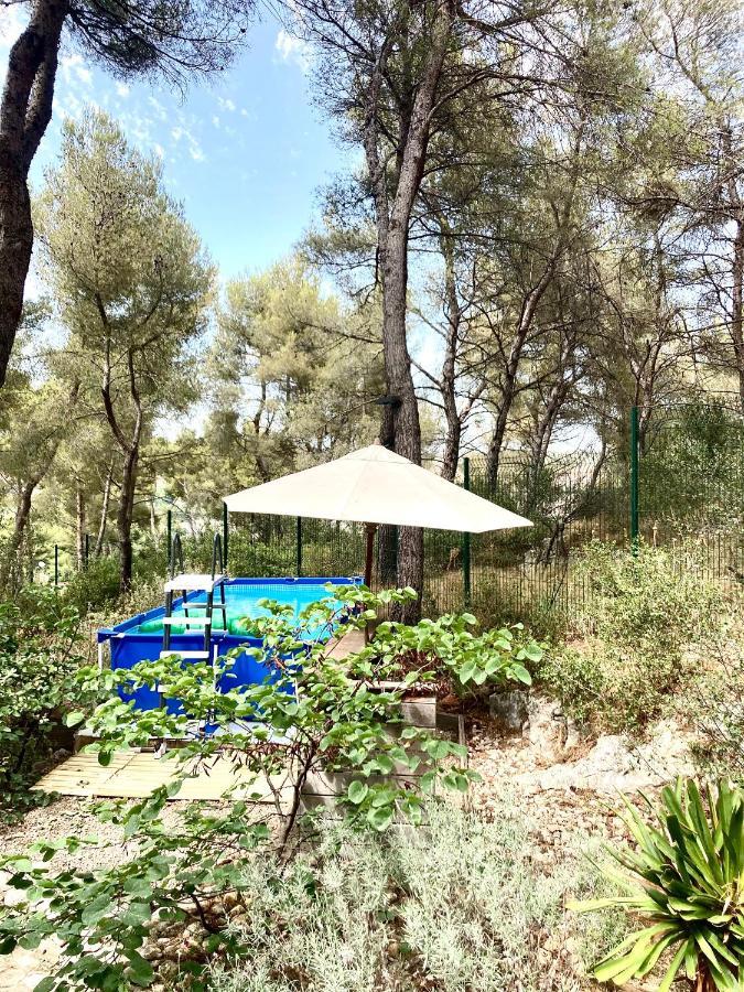 Maison De Charme Avec Piscine Et Jacuzzi Dans Cadre Exceptionnel Proche Marseille Ле-Пенн-Мирабо Экстерьер фото